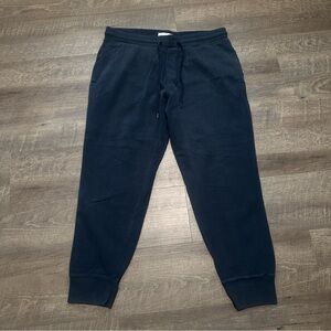 American Eagle Outfitters Dark Blue Joggers